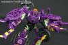 Subscription Service Tarantulas - Image #80 of 169
