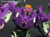 Subscription Service Tarantulas - Image #81 of 169
