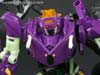 Subscription Service Tarantulas - Image #84 of 169