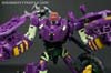 Subscription Service Tarantulas - Image #85 of 169