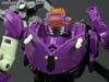 Subscription Service Tarantulas - Image #86 of 169