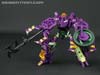 Subscription Service Tarantulas - Image #87 of 169