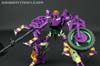 Subscription Service Tarantulas - Image #88 of 169