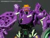 Subscription Service Tarantulas - Image #89 of 169
