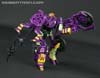 Subscription Service Tarantulas - Image #90 of 169