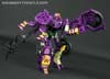 Subscription Service Tarantulas - Image #91 of 169