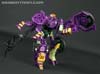 Subscription Service Tarantulas - Image #92 of 169