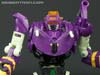 Subscription Service Tarantulas - Image #95 of 169