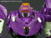 Subscription Service Tarantulas - Image #97 of 169