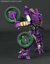 Subscription Service Tarantulas - Image #105 of 169