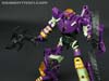 Subscription Service Tarantulas - Image #108 of 169
