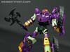 Subscription Service Tarantulas - Image #110 of 169