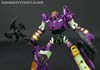 Subscription Service Tarantulas - Image #113 of 169