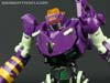 Subscription Service Tarantulas - Image #114 of 169