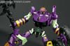 Subscription Service Tarantulas - Image #115 of 169