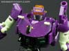 Subscription Service Tarantulas - Image #116 of 169