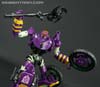 Subscription Service Tarantulas - Image #118 of 169