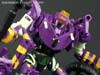 Subscription Service Tarantulas - Image #122 of 169