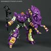 Subscription Service Tarantulas - Image #123 of 169