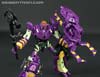 Subscription Service Tarantulas - Image #124 of 169