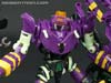 Subscription Service Tarantulas - Image #125 of 169