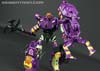Subscription Service Tarantulas - Image #127 of 169