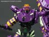Subscription Service Tarantulas - Image #128 of 169