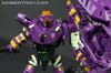 Subscription Service Tarantulas - Image #129 of 169