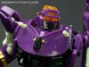 Subscription Service Tarantulas - Image #132 of 169