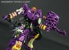 Subscription Service Tarantulas - Image #134 of 169