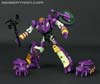 Subscription Service Tarantulas - Image #135 of 169