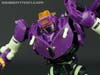 Subscription Service Tarantulas - Image #139 of 169