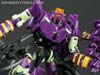 Subscription Service Tarantulas - Image #140 of 169