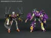 Subscription Service Tarantulas - Image #141 of 169