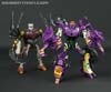 Subscription Service Tarantulas - Image #142 of 169