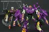 Subscription Service Tarantulas - Image #143 of 169