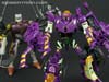 Subscription Service Tarantulas - Image #144 of 169