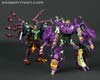 Subscription Service Tarantulas - Image #145 of 169