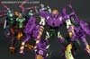 Subscription Service Tarantulas - Image #146 of 169