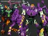 Subscription Service Tarantulas - Image #147 of 169