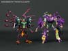 Subscription Service Tarantulas - Image #148 of 169