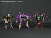 Subscription Service Tarantulas - Image #149 of 169