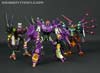Subscription Service Tarantulas - Image #150 of 169