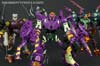 Subscription Service Tarantulas - Image #151 of 169