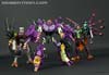 Subscription Service Tarantulas - Image #152 of 169