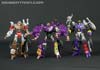 Subscription Service Tarantulas - Image #153 of 169