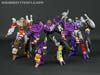 Subscription Service Tarantulas - Image #154 of 169