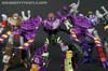 Subscription Service Tarantulas - Image #155 of 169