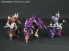 Subscription Service Tarantulas - Image #156 of 169