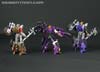Subscription Service Tarantulas - Image #157 of 169